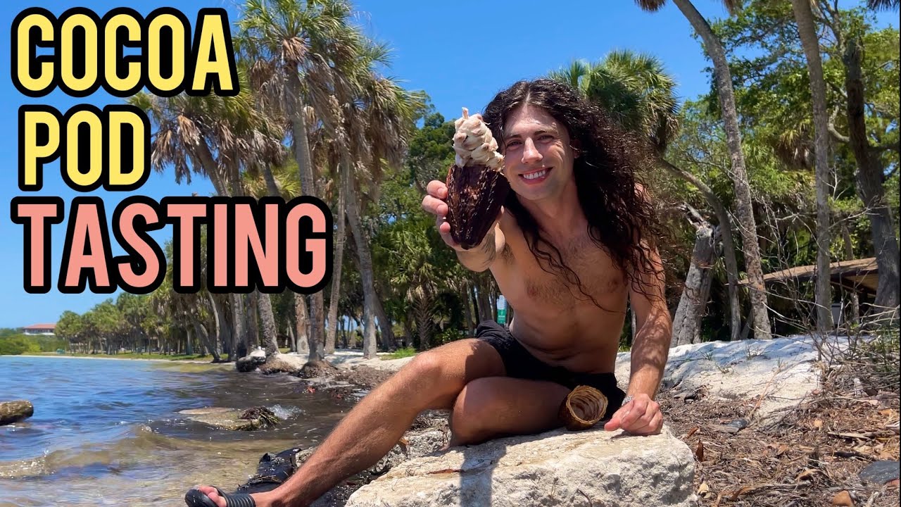Cocoa Pod Tasting and life update