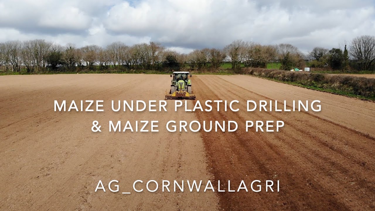 MAIZE UNDER PLASTIC DRILLING AND POWER HARROWING