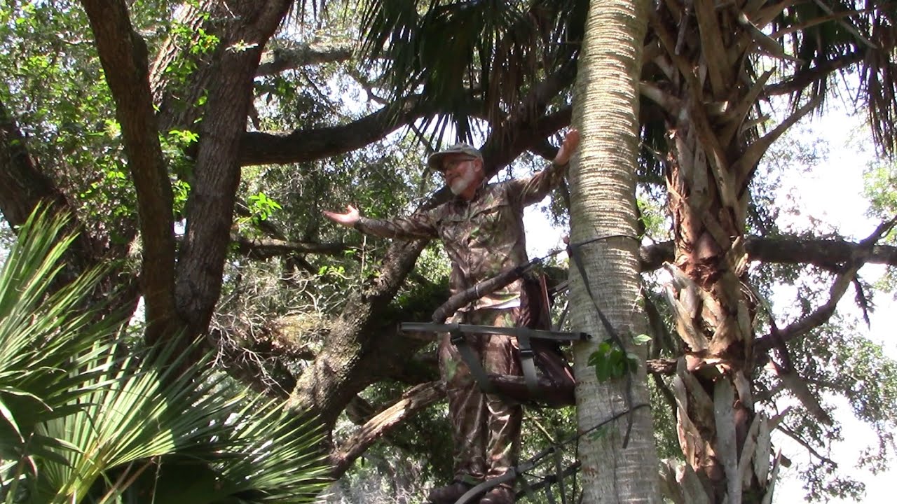 Cacería en Dupuis