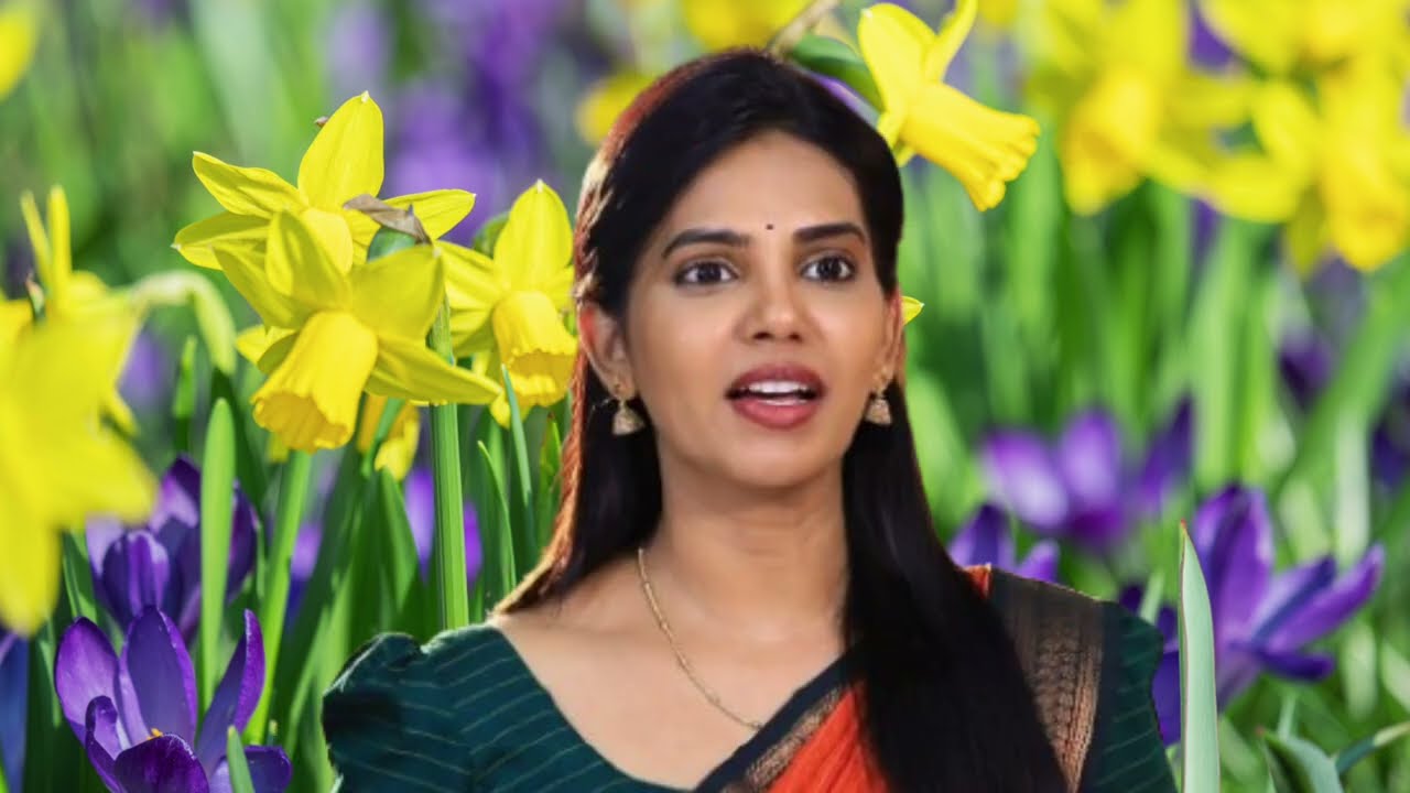 Pandian Store 2 Serial Upcoming Episode Review March 07th | 2026