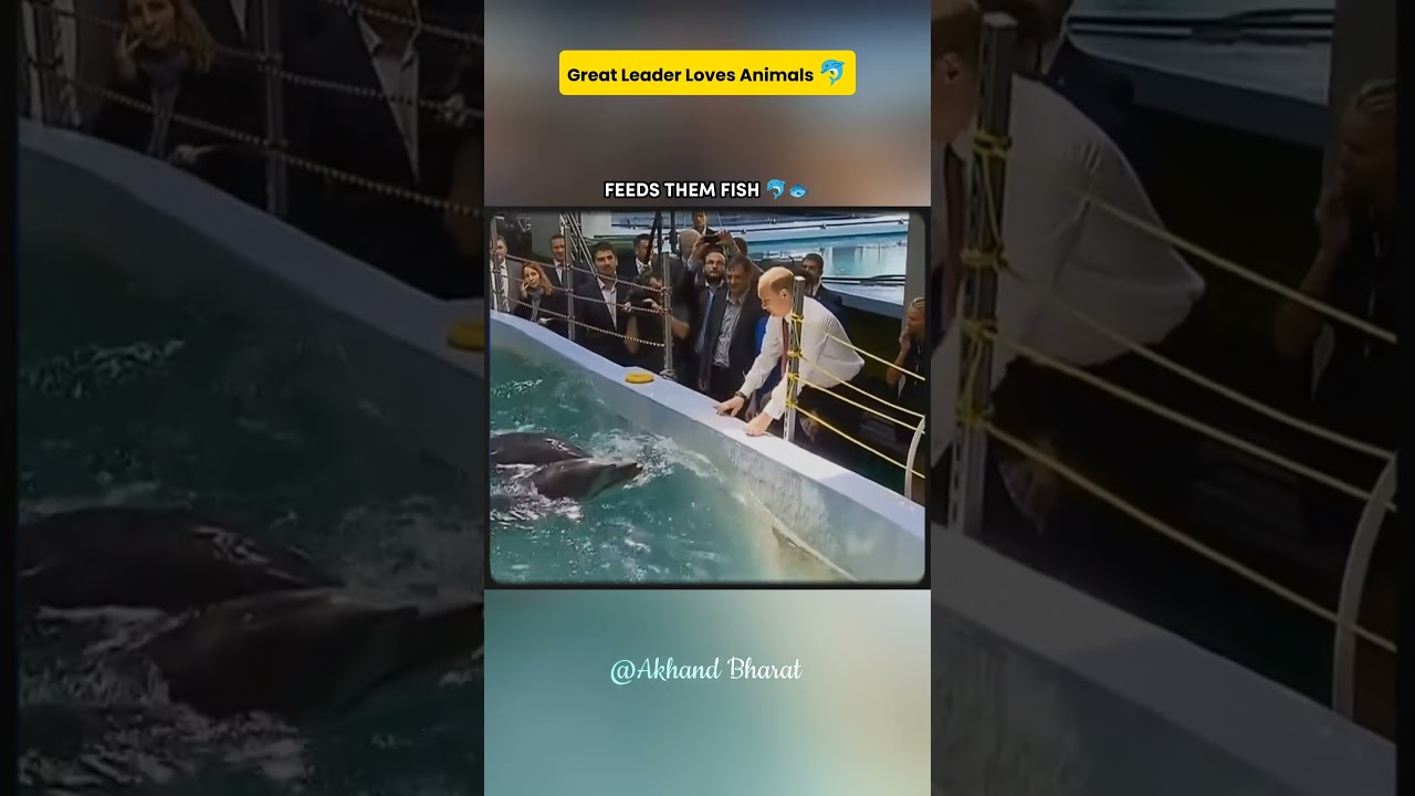 GREAT LEADERS SHOW KINDNESS TO ANIMALS 🐬