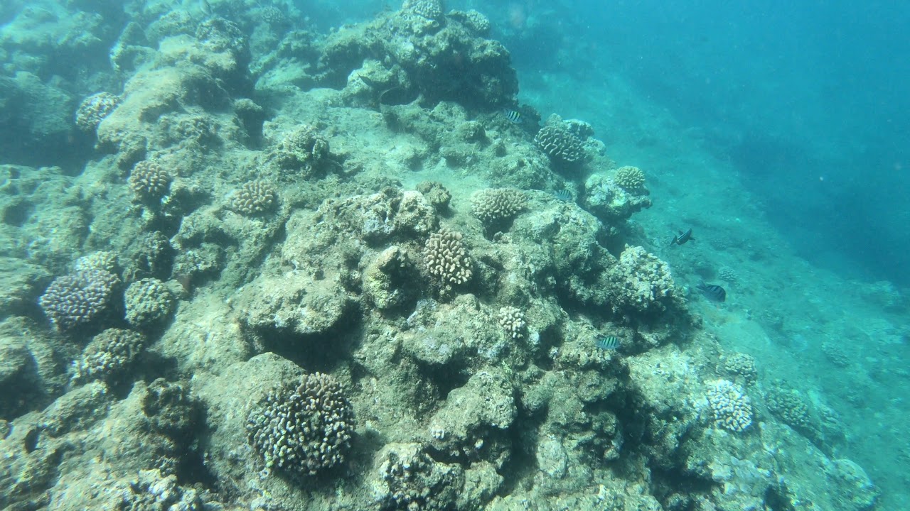 Makua Beach Snorkeling, Kauai, HI