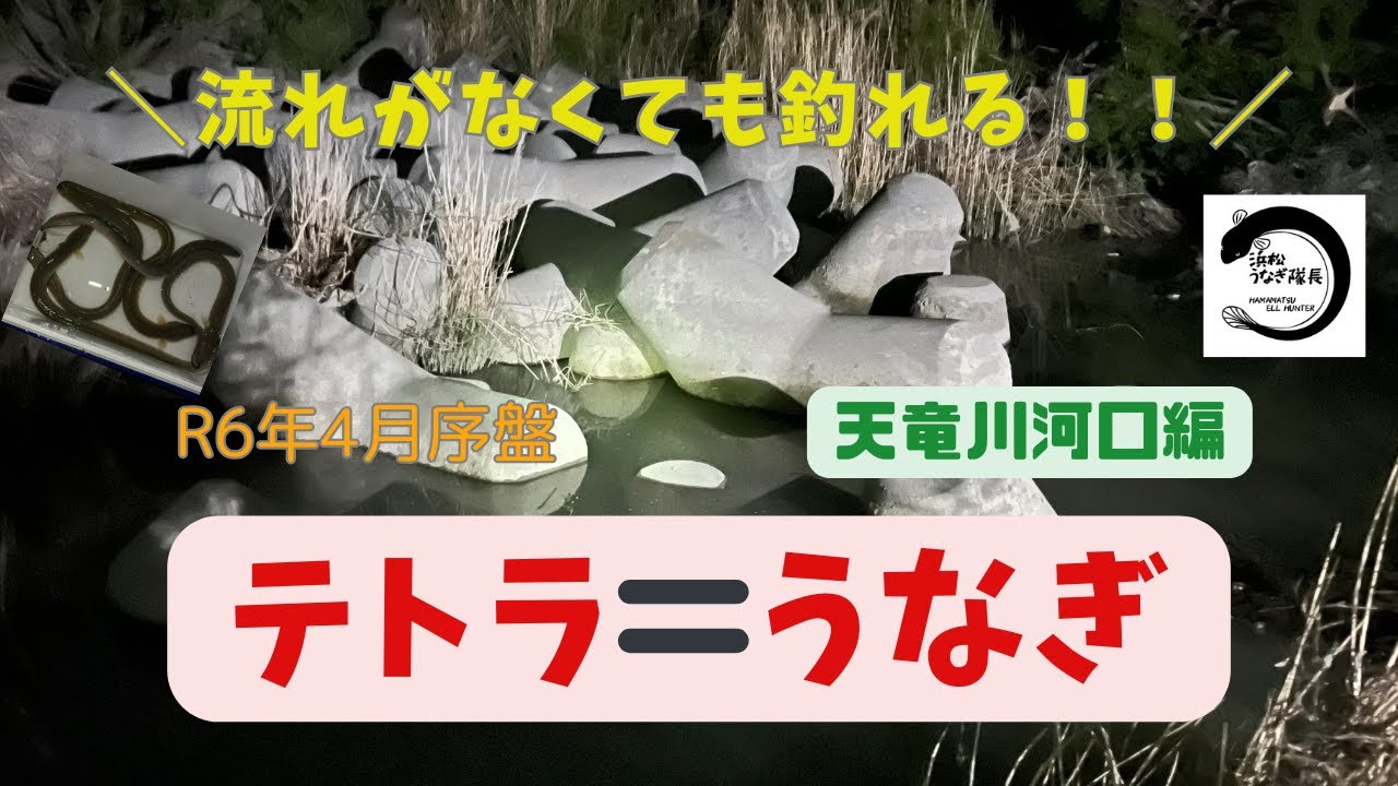 【うなぎ釣り】テトラを狙え！！