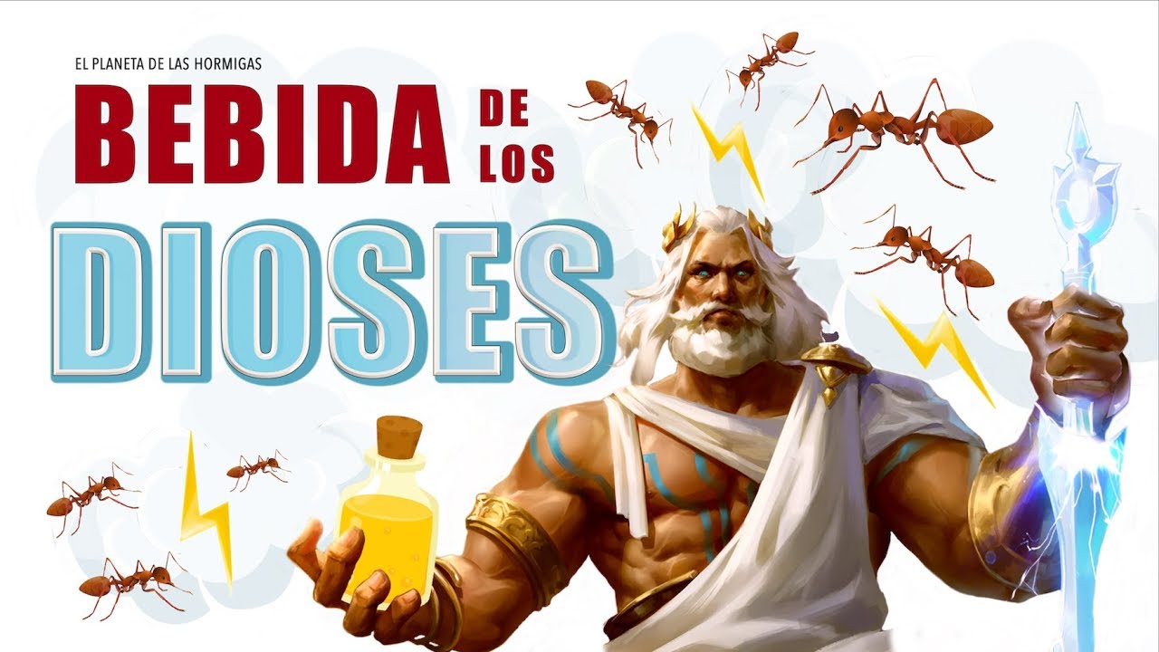LA BEBIDA DE LOS DIOSES: TUTORIAL AGUAMIEL Y PROTEINA PARA TUS HORMIGAS - EL PLANETA DE LAS HORMIGAS
