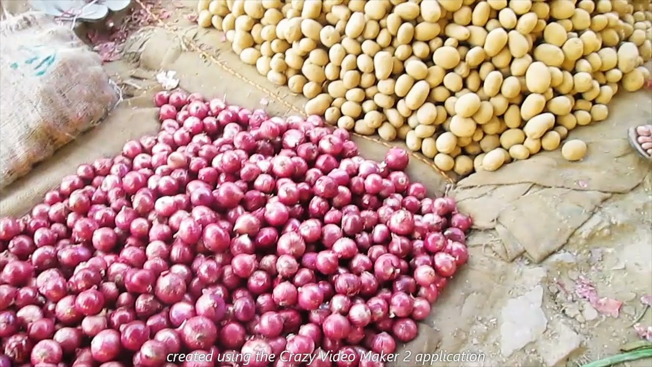 Biggest Vegetable Market In Delhi