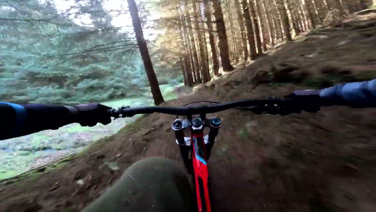 Stuck after Mild Peril Redemption black trail in 200 fallen trees Glentress