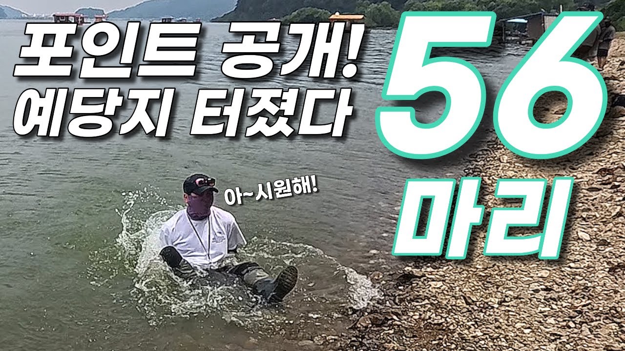 [배스 낚시] 예당지 56마리 배스 포인트 공개!