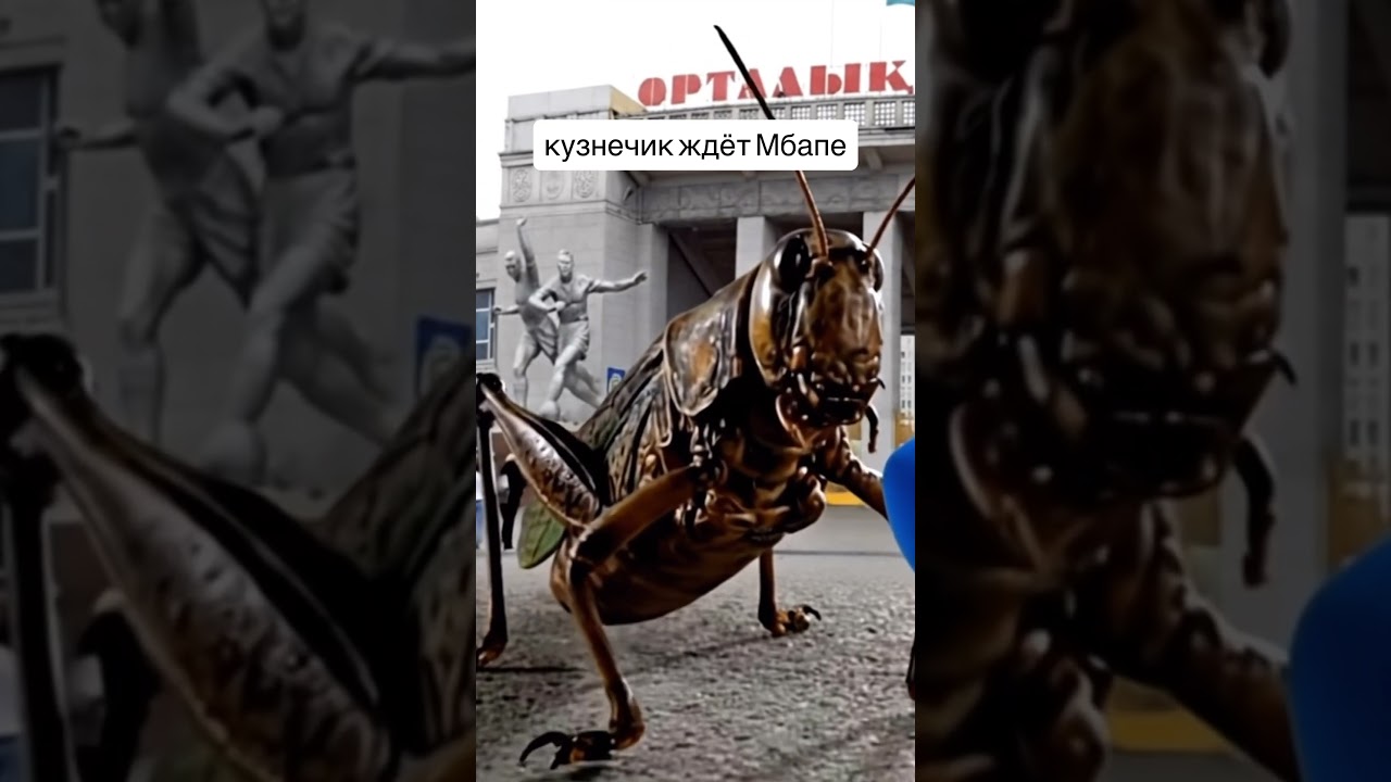 Актуалочка