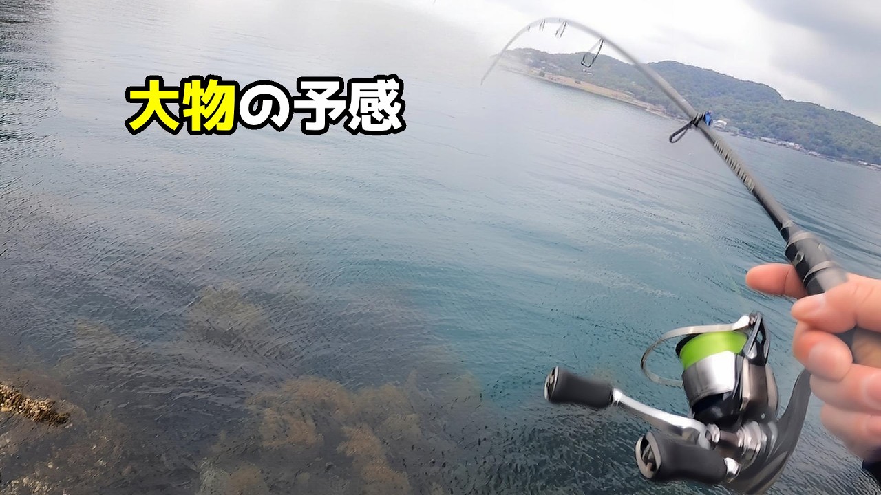 大物の季節に快感のドラグ音！春イカエギングチャレンジ #fishing
