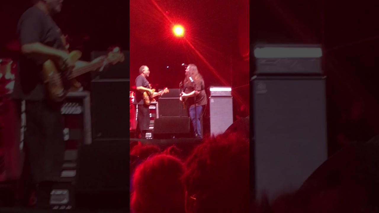 Dave Schools & George Porter Jam   Panic en la Playa Seis 2017