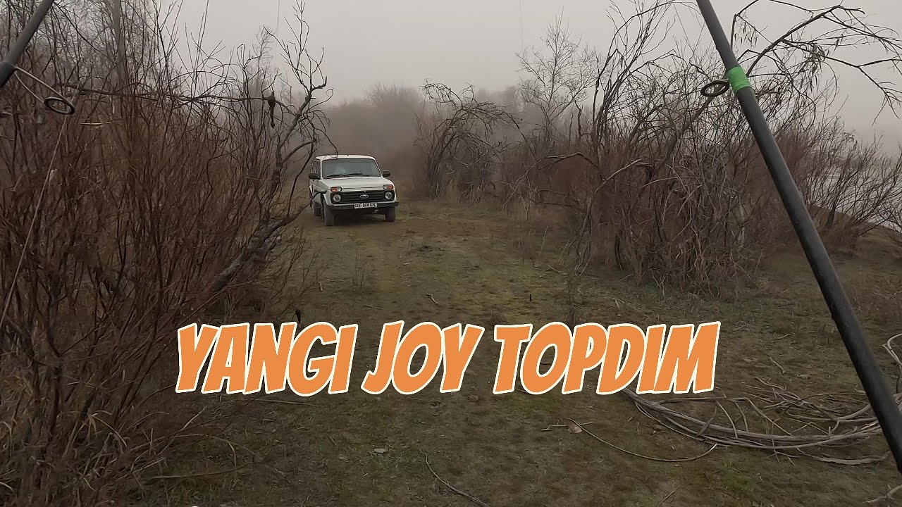 Yangi joy topdim