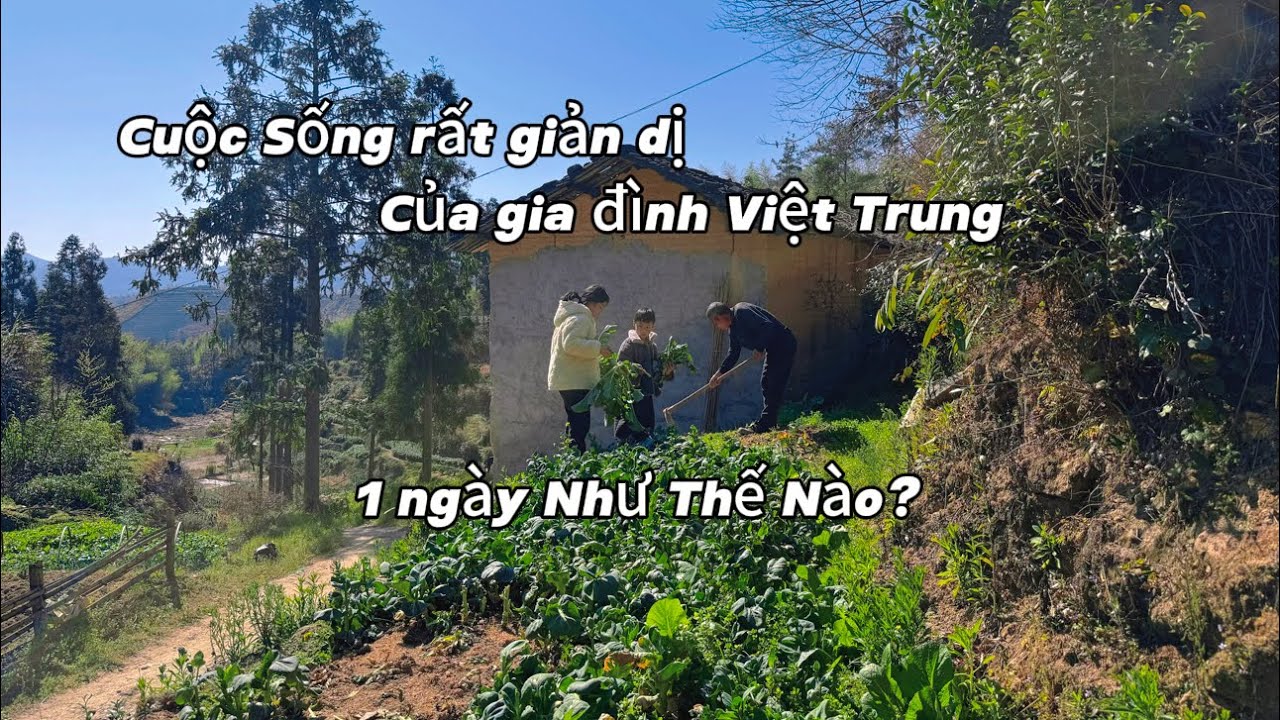 Cuộc Sống Rất Giản Dị Của Gia Đình ,Việt Trung Một Ngày Như Thế Nào 