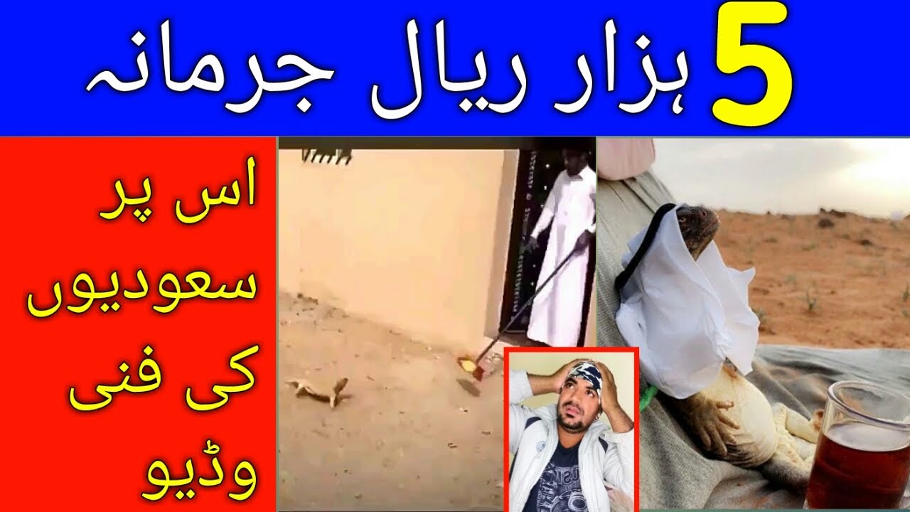 Saudi Arabia is Your one Mistake and A Fine of 5000 Riyal, Saudi Arabia News today in Urdu and Hindi