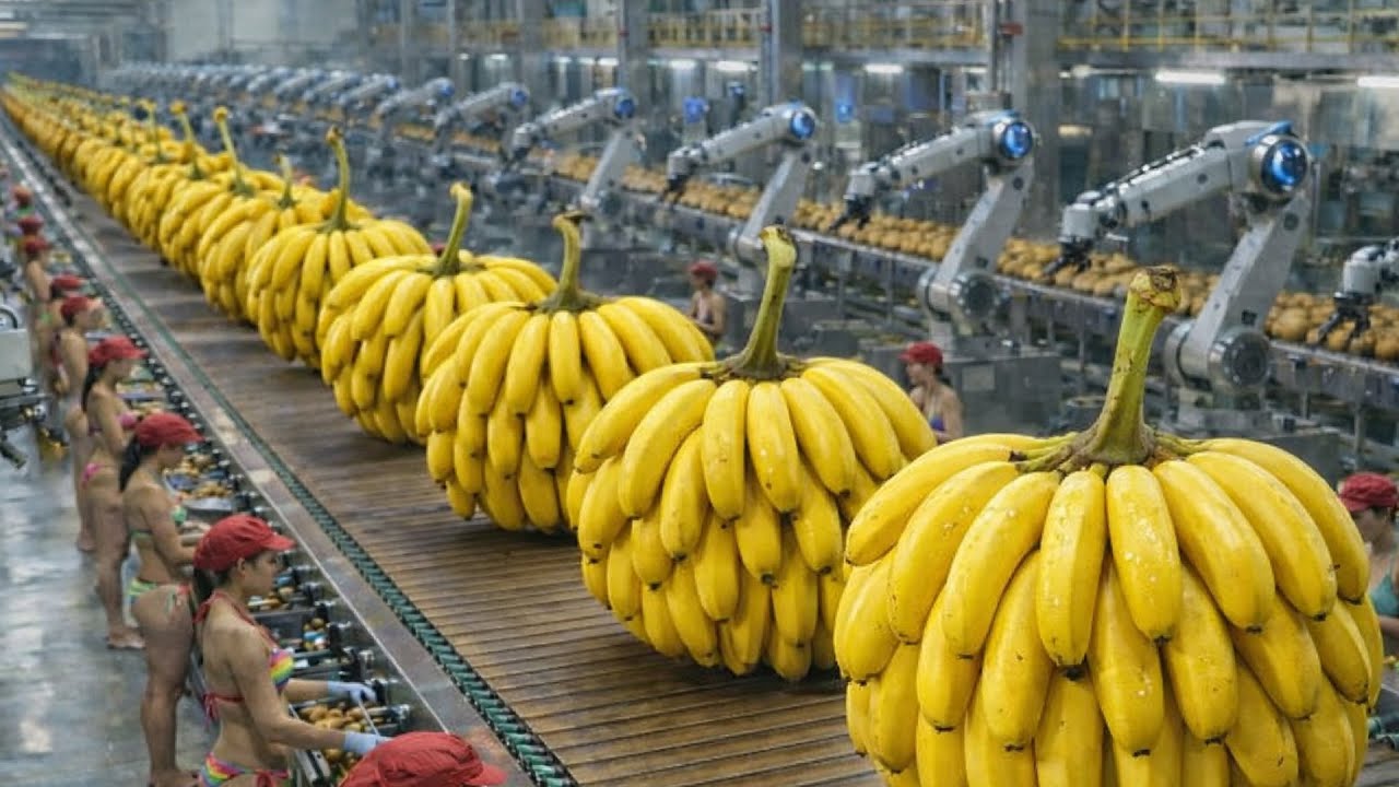 Inside the Banana Factory: From Fresh Ripe Melons to Irresistible Juice (Full Process)