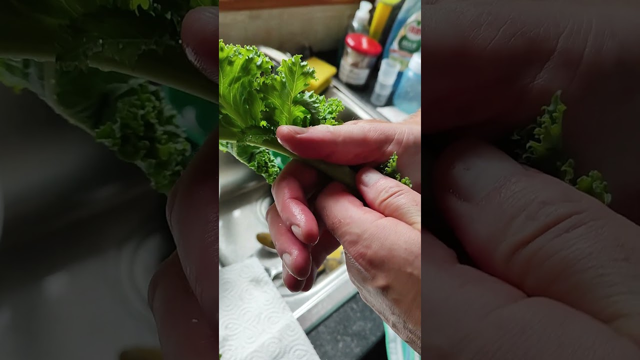 How to remove the leaves from the stem of Kale