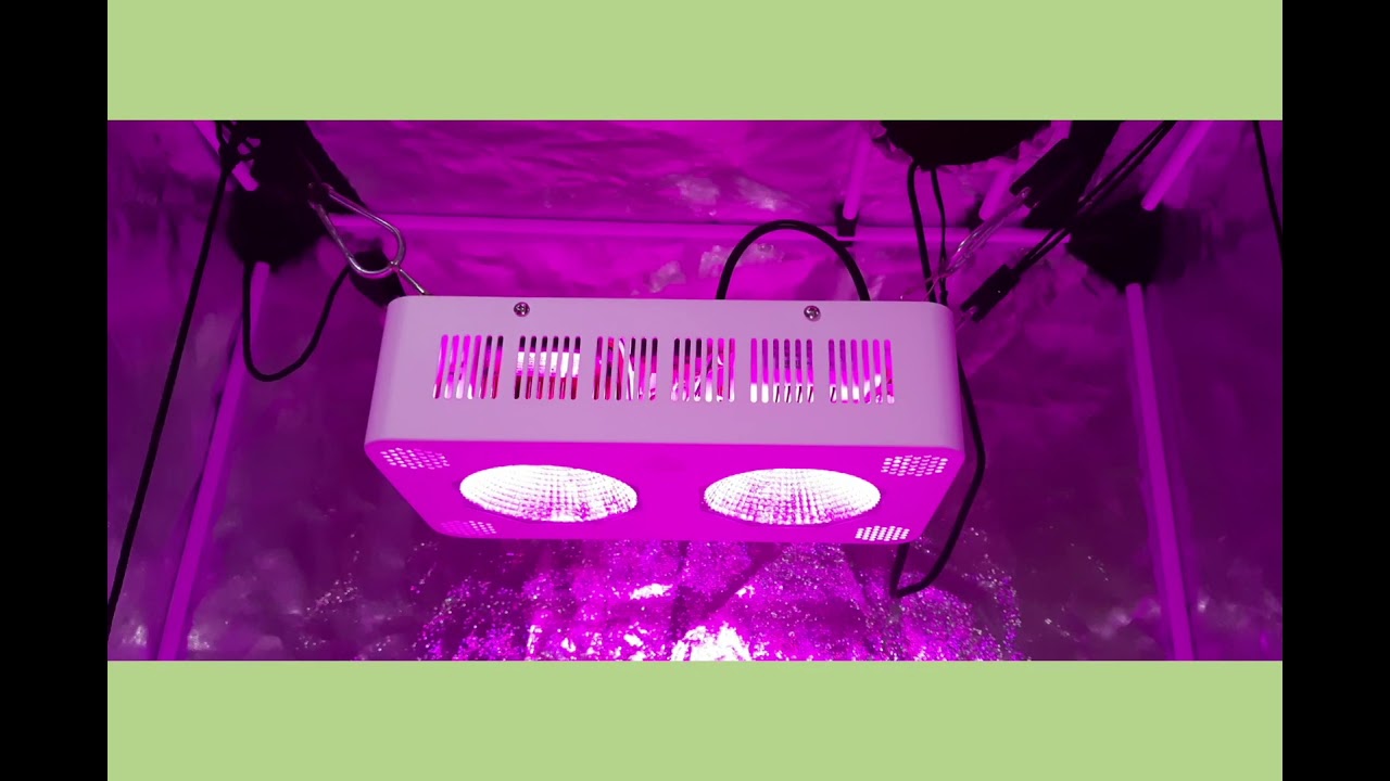 Painel de LED full spectrum BIOLEDZ 19200 Cultivo Indor (Para&iacute;so Grow)