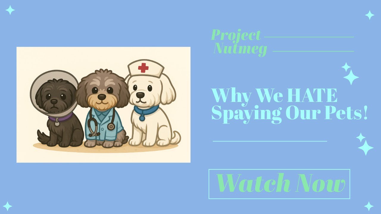 Project Nutmeg: Why We HATE Spaying Our Pets!