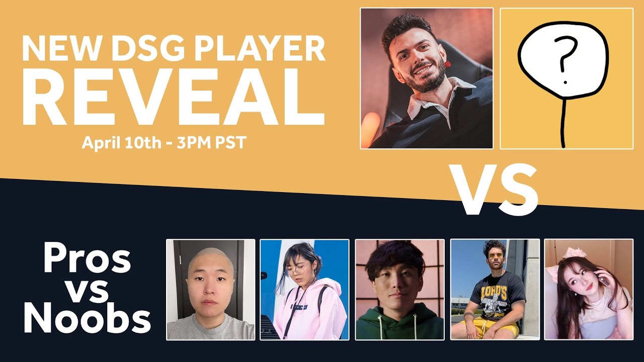 DSG YAY & Tarik PROS vs NOOBS DSG Toast Sykkuno Lilypichu Hasanabi & Tinakitten