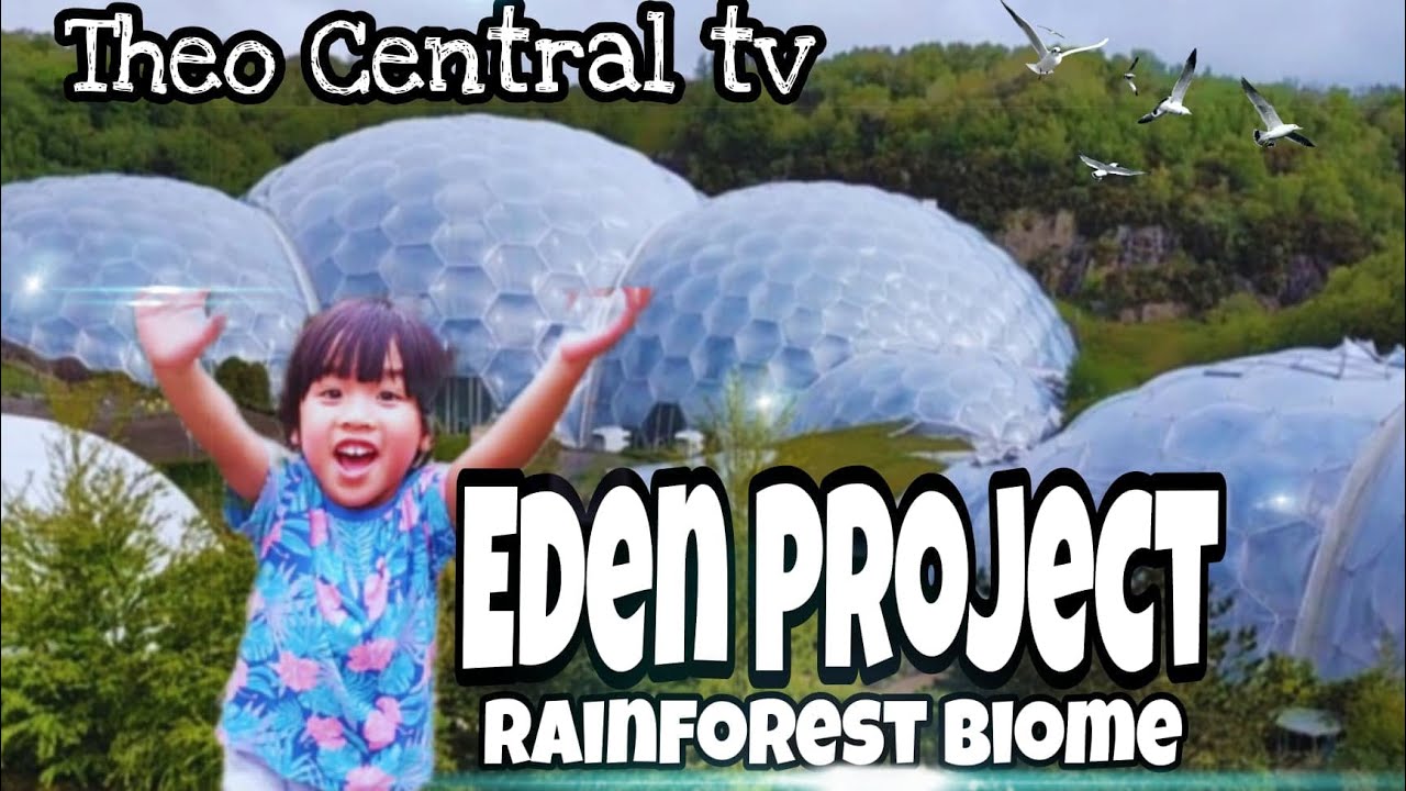THE WORLD MOST LARGEST INDOOR RAINFOREST THE EDEN PROJECT