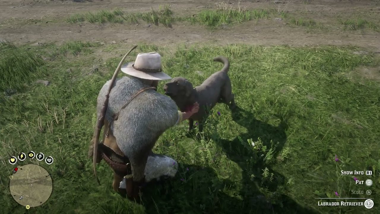 RDR2 Labrador Retriever Location | พิกัดสุนัขลาบราดอร์ รีทรีฟเวอร์