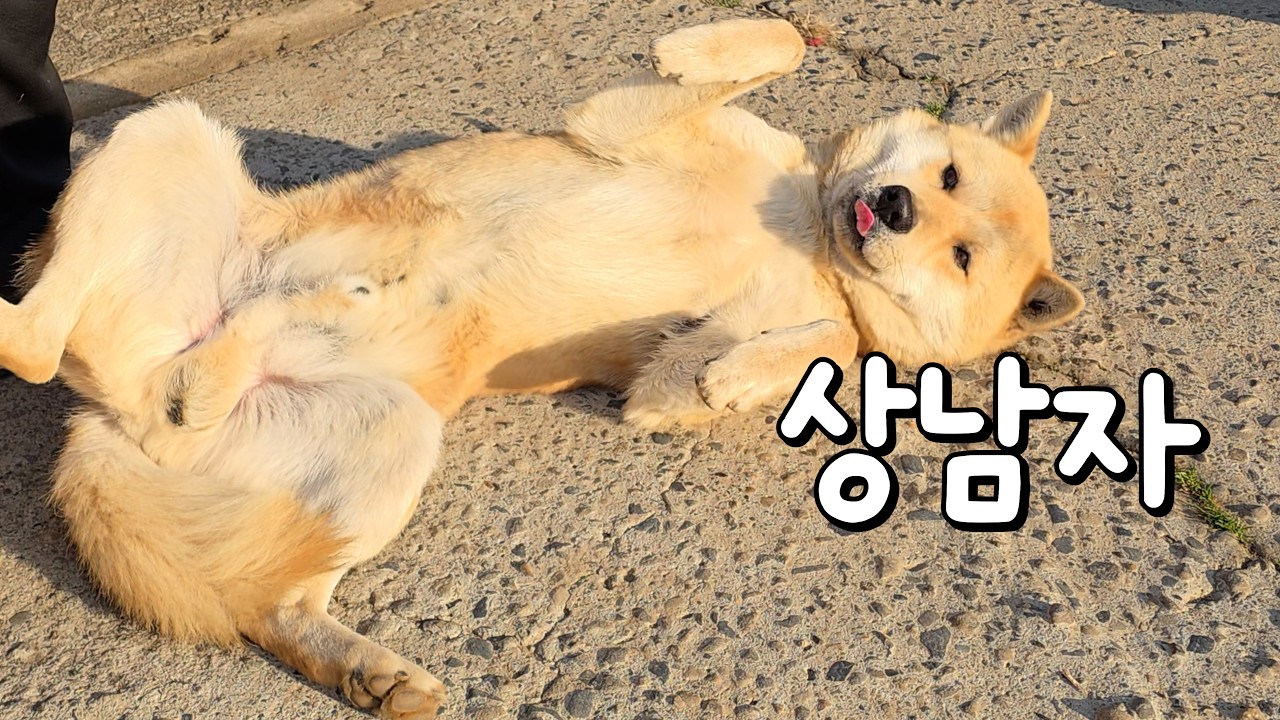 보내줘야 할 때가 왔습니다