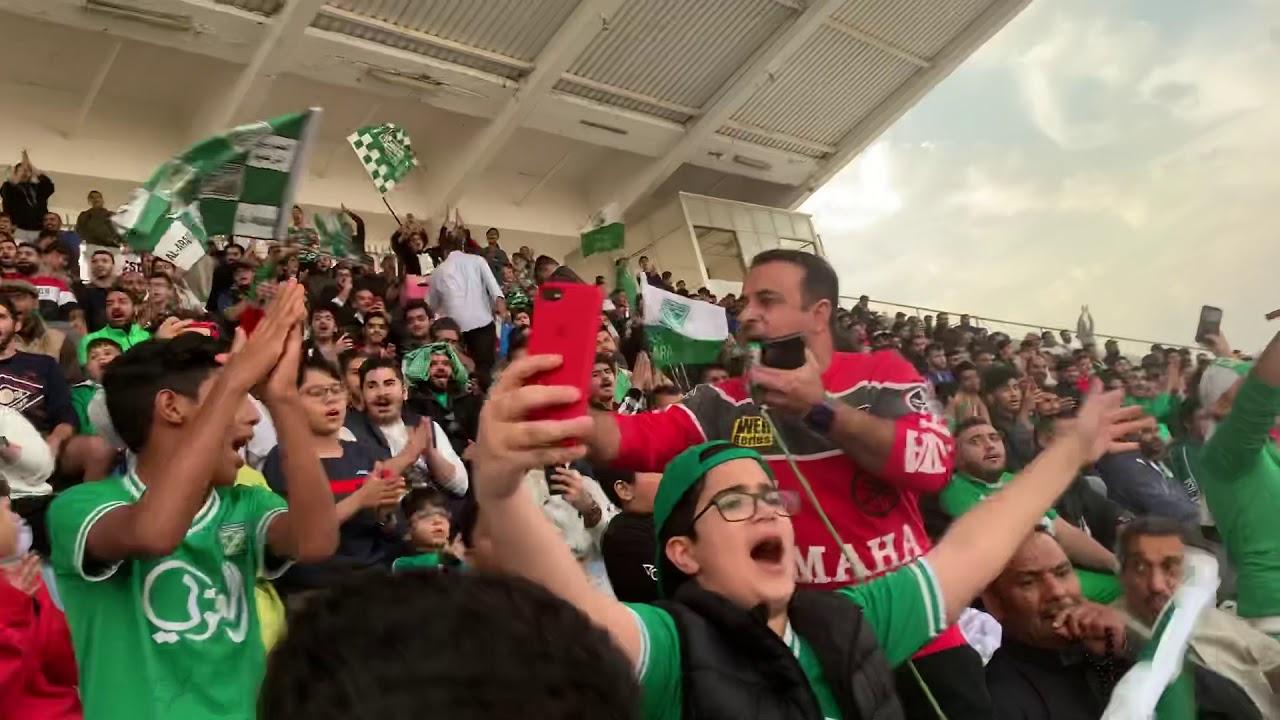 جانب من شيلات نادي العربي💚