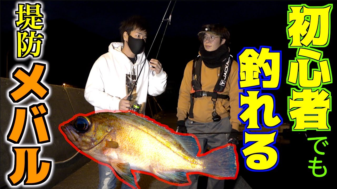 初心者の為の簡単メバル釣り講座！！【夜の堤防】