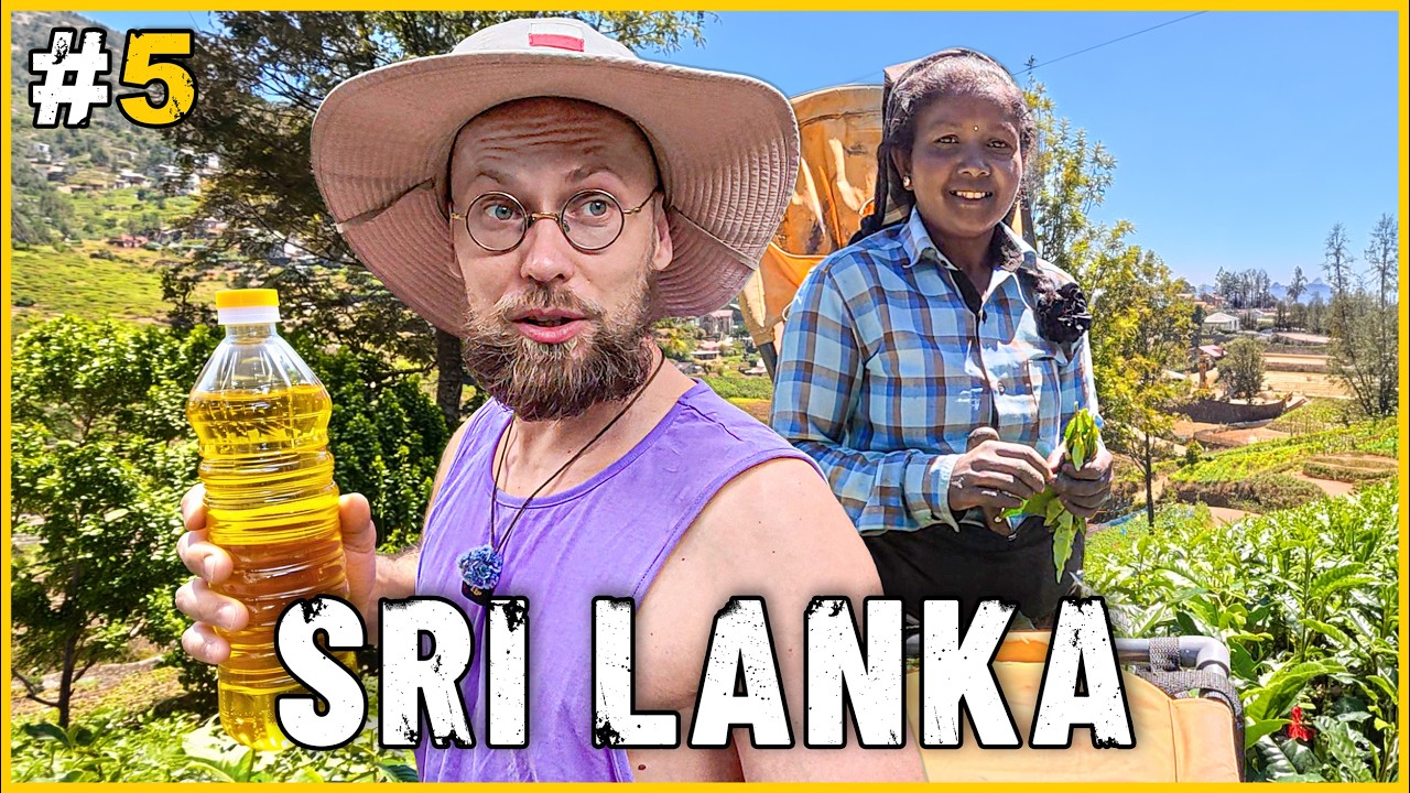 SRI LANKA: Ile kosztuje tu życie? Cena używanego Tuk Tuka SZOKUJE! Podr&oacute;ż po wyspie blisko lokalnych