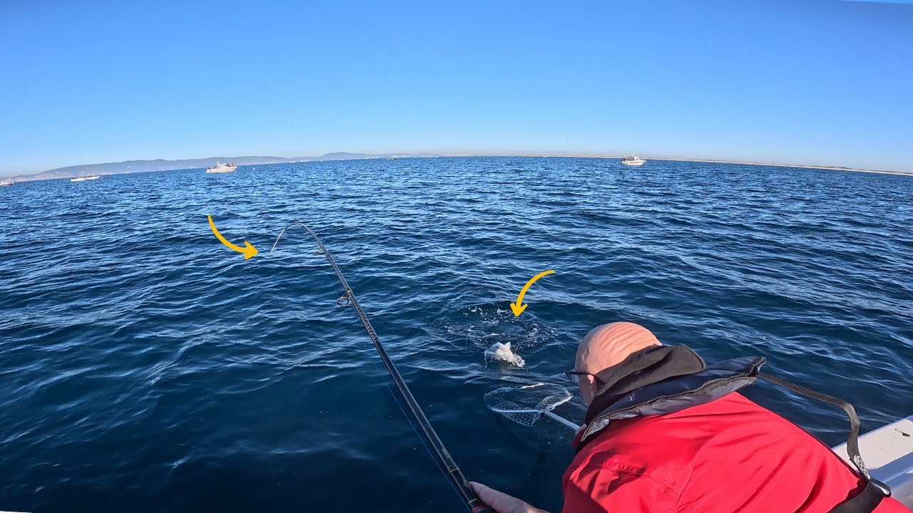 CARRETO AVARIADO CHECK, CARANGUEJOS POUCOS CHECK, DOURADAS....SERÁ???