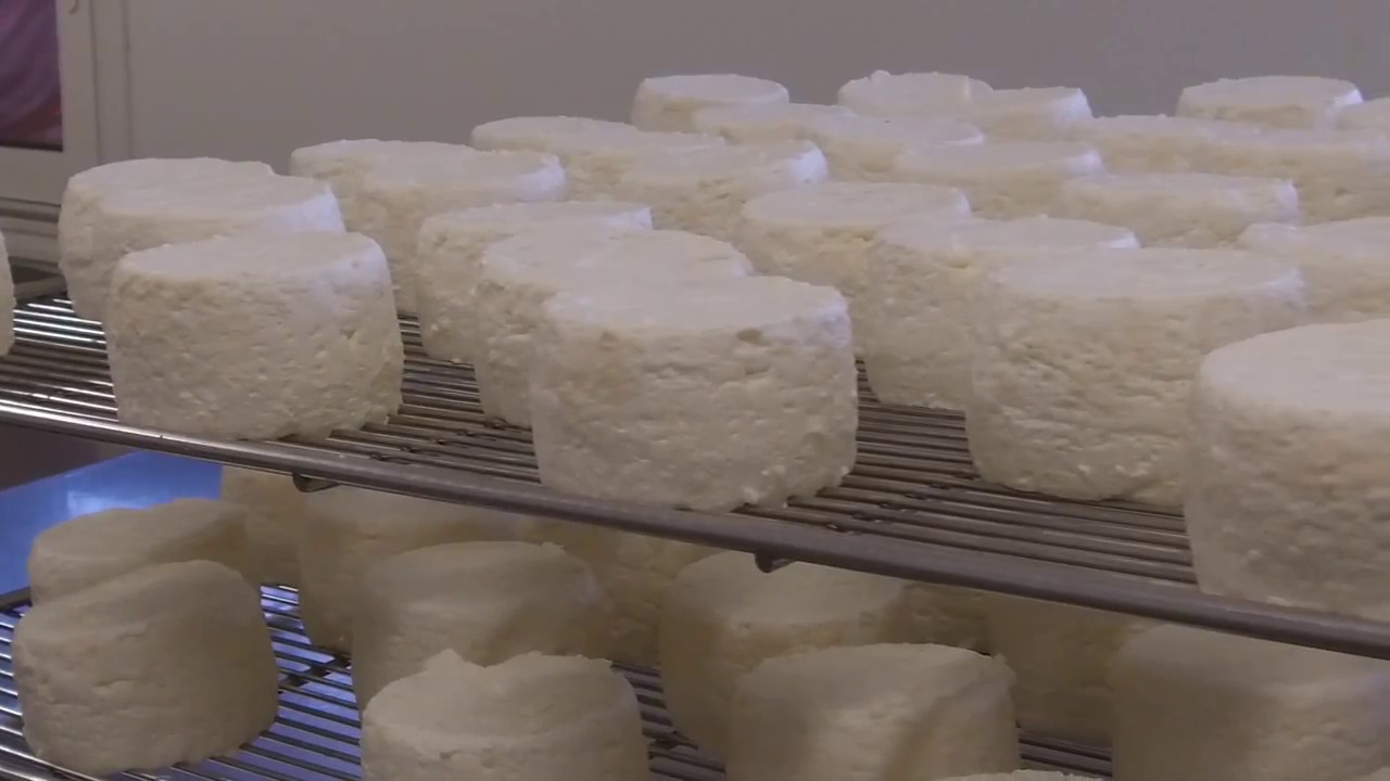 A la d&eacute;couverte des produits locaux