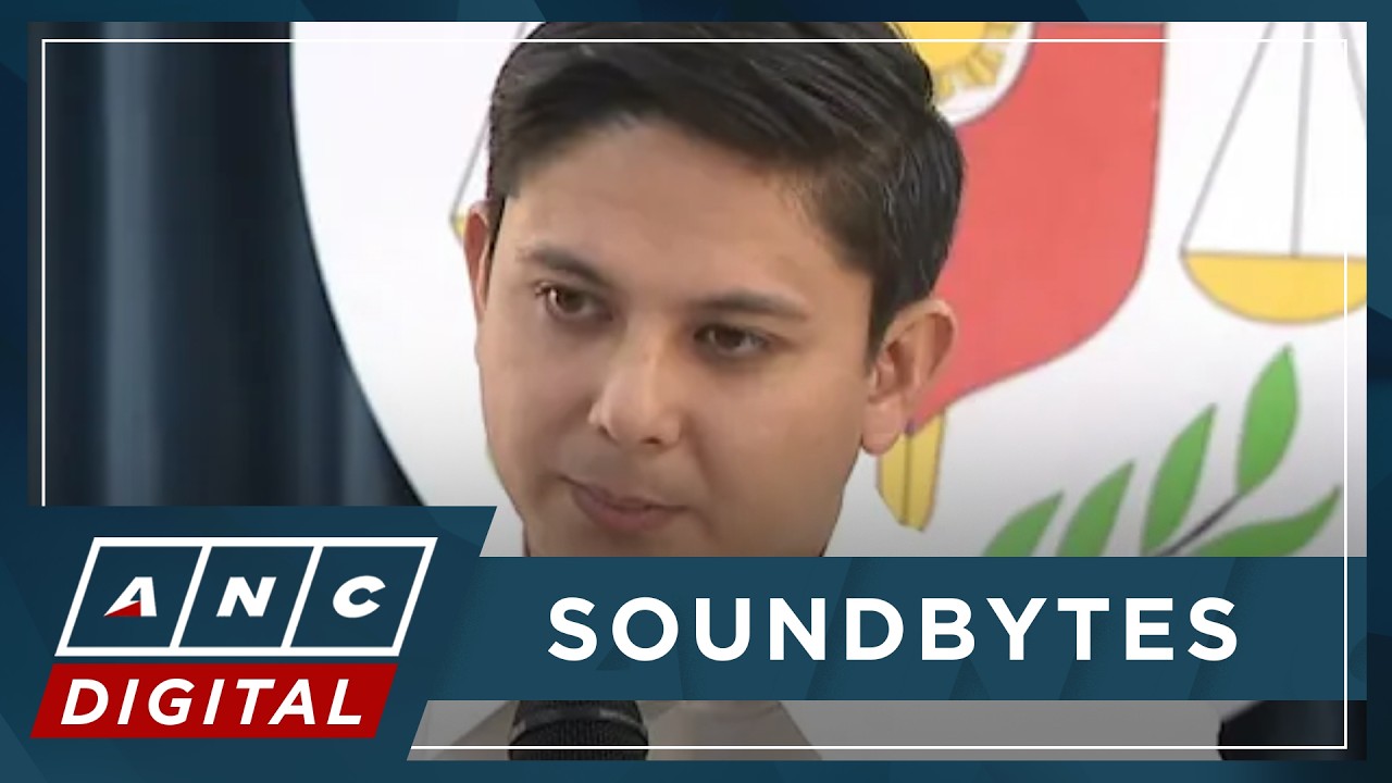 WATCH: Ombudsman gives update on cases involving 'congtractors' | ANC