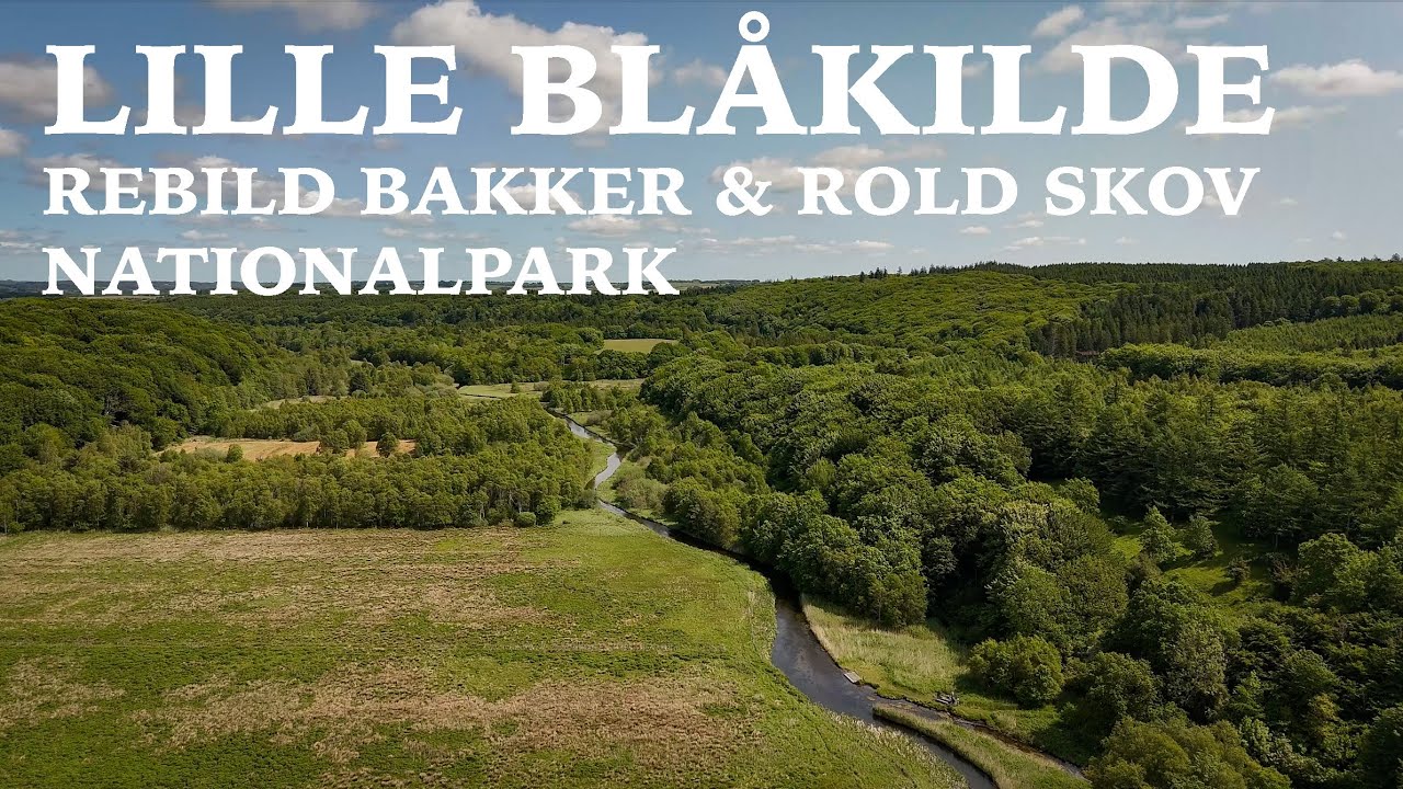 🇩🇰 Gravlev Ådal 🗺️ Lille Blåkilde 🌳 Regan Vest 🌳 Rebild Bakker & Rold Skov Nationalpark
