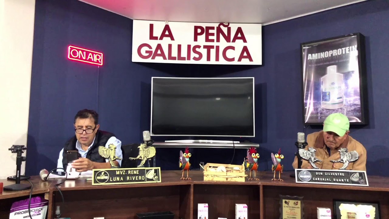 PROGRAMA 781 -  LA PEÑA GALLISTICA