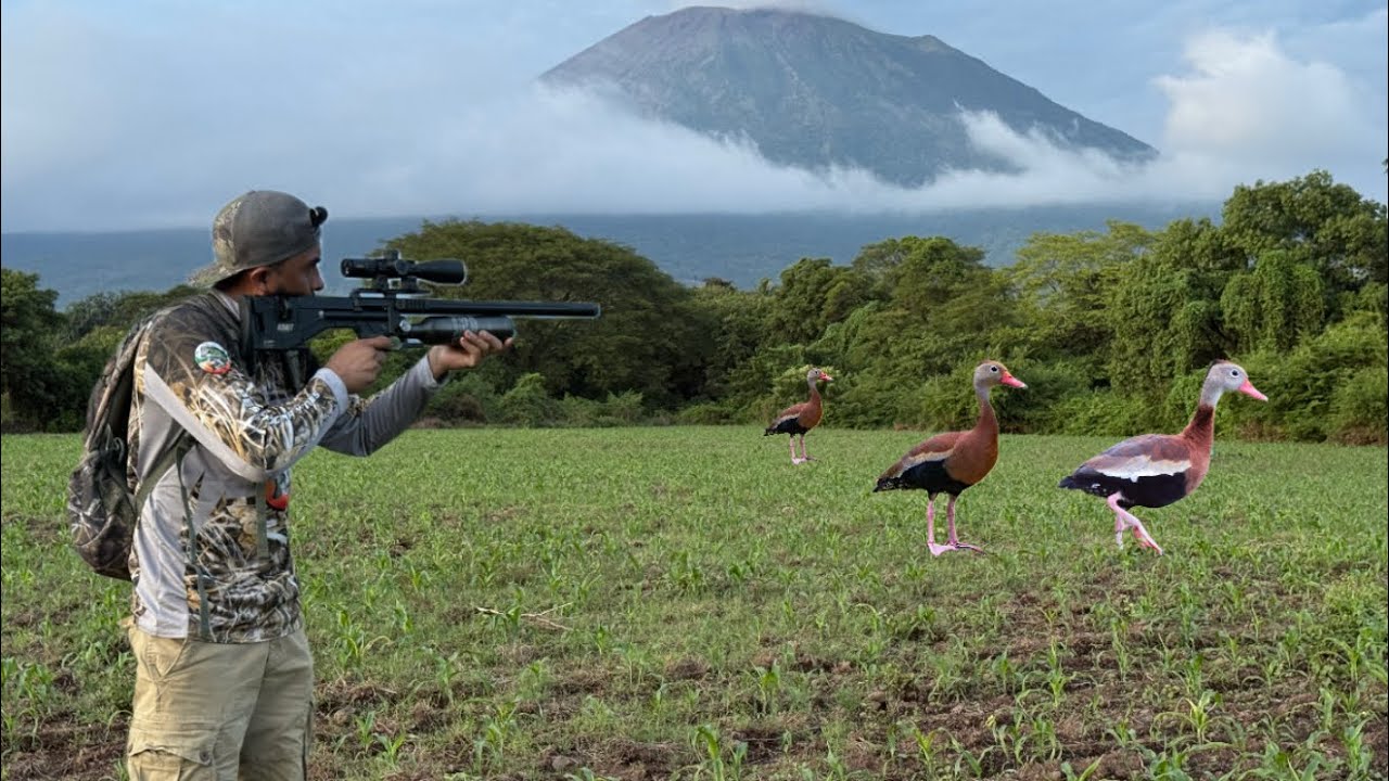 Caza De Piches Con Rifle De Aire En El Salvador 