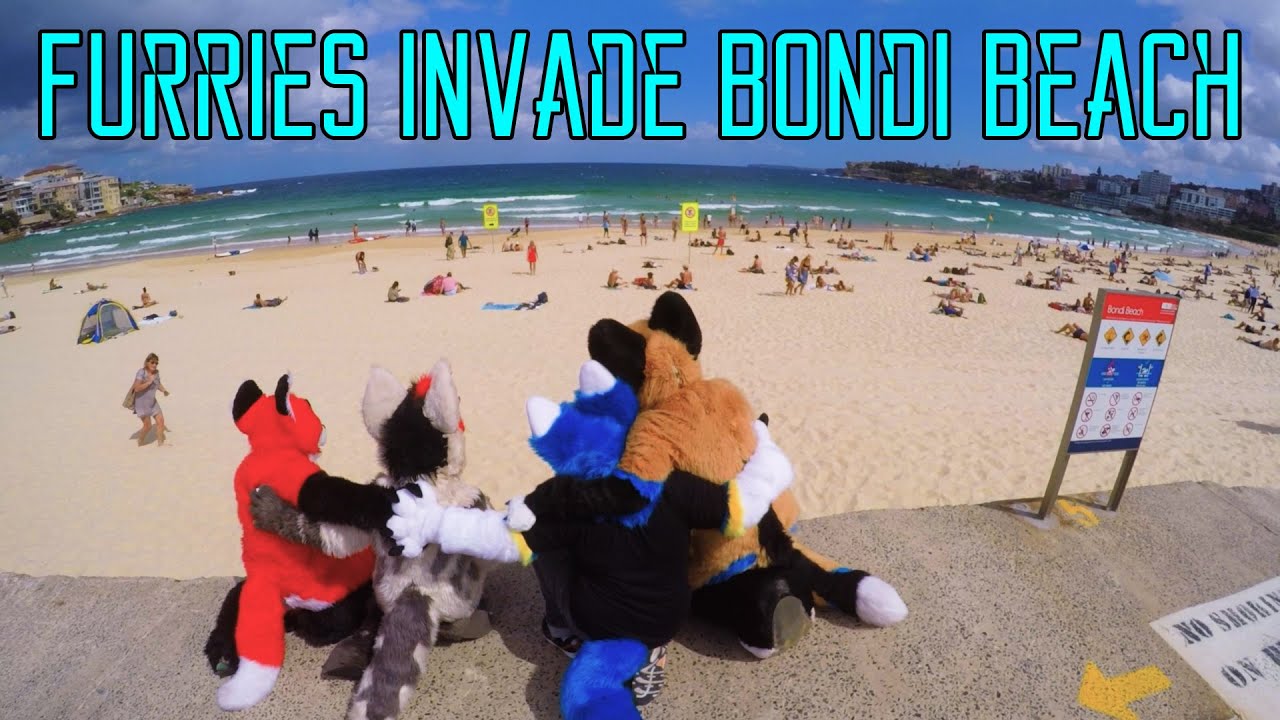 FURRIES INVADE BONDI BEACH (Pre Corona)