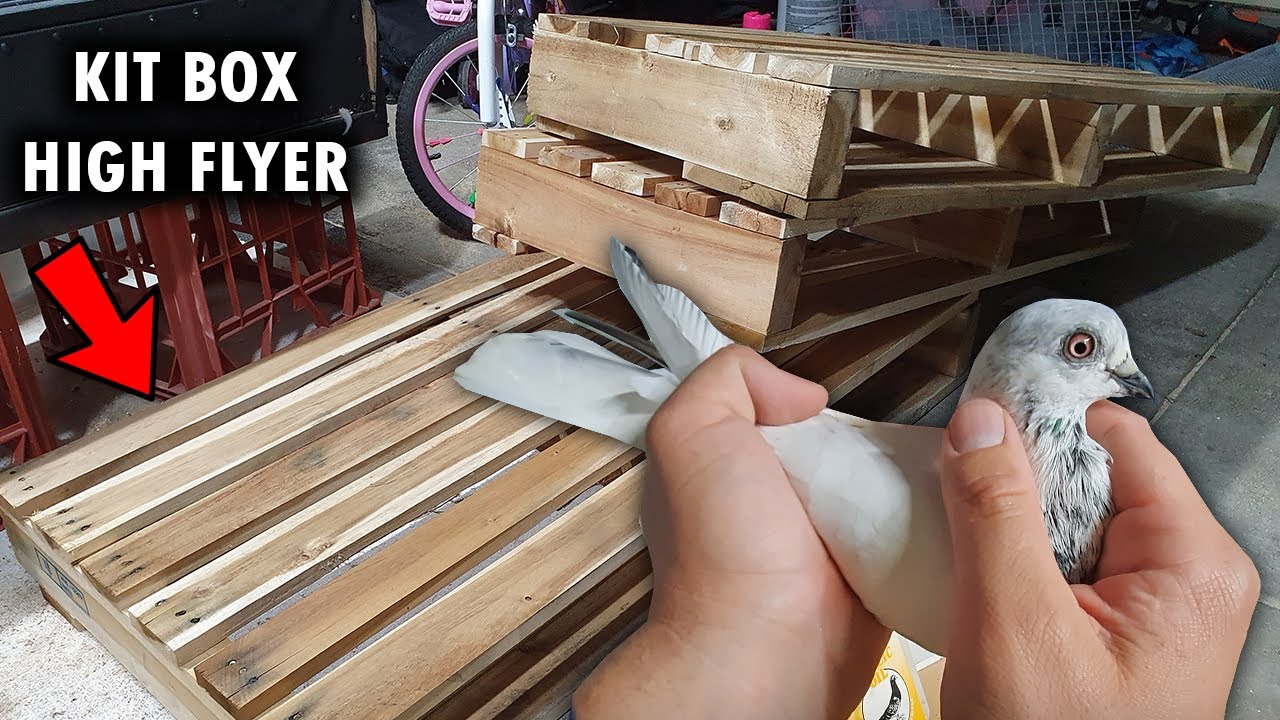 HIGH FLYER  ( KABOOTAR )  KIT BOX Planning!