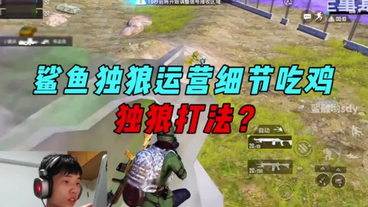 《鲨鱼独狼细节运营吃鸡，运筹帷幄坐收渔翁之利！》 #和平精英 #盼之 #向往的生活盼之 #和平精英雪战到底#和平精英冰雪哈尔滨