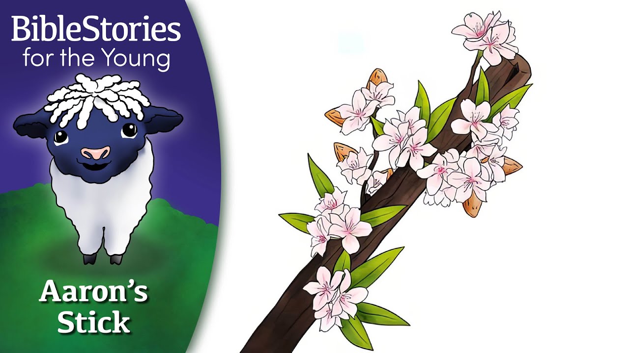 Day 55 Aaron's Walking Stick Blooms ~ Daily Bible Stories for Children & Learners