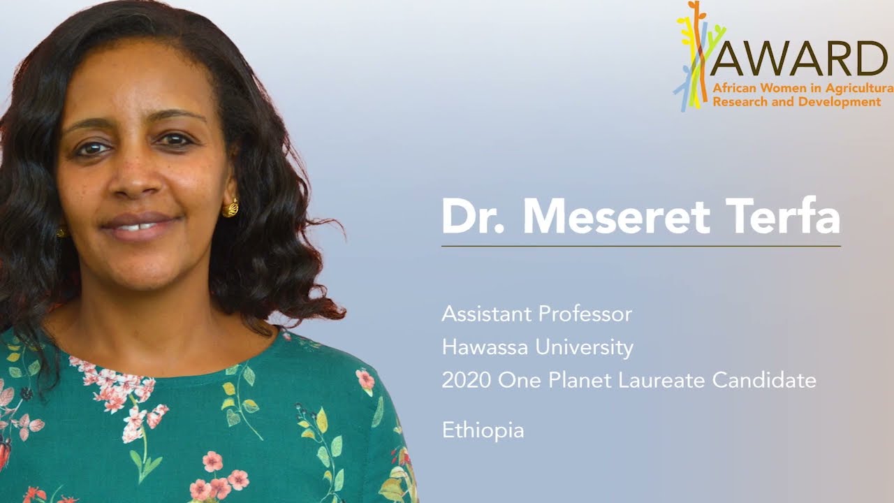 Dr. Meseret Tesema Terfa, 2020 One Planet Fellowship Laureate Candidate