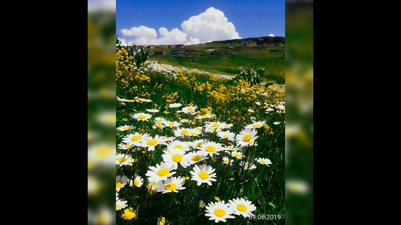 Ardahan, Damal, Burmadere Köyü, Ağyâr Yaylaları, Üç Oba