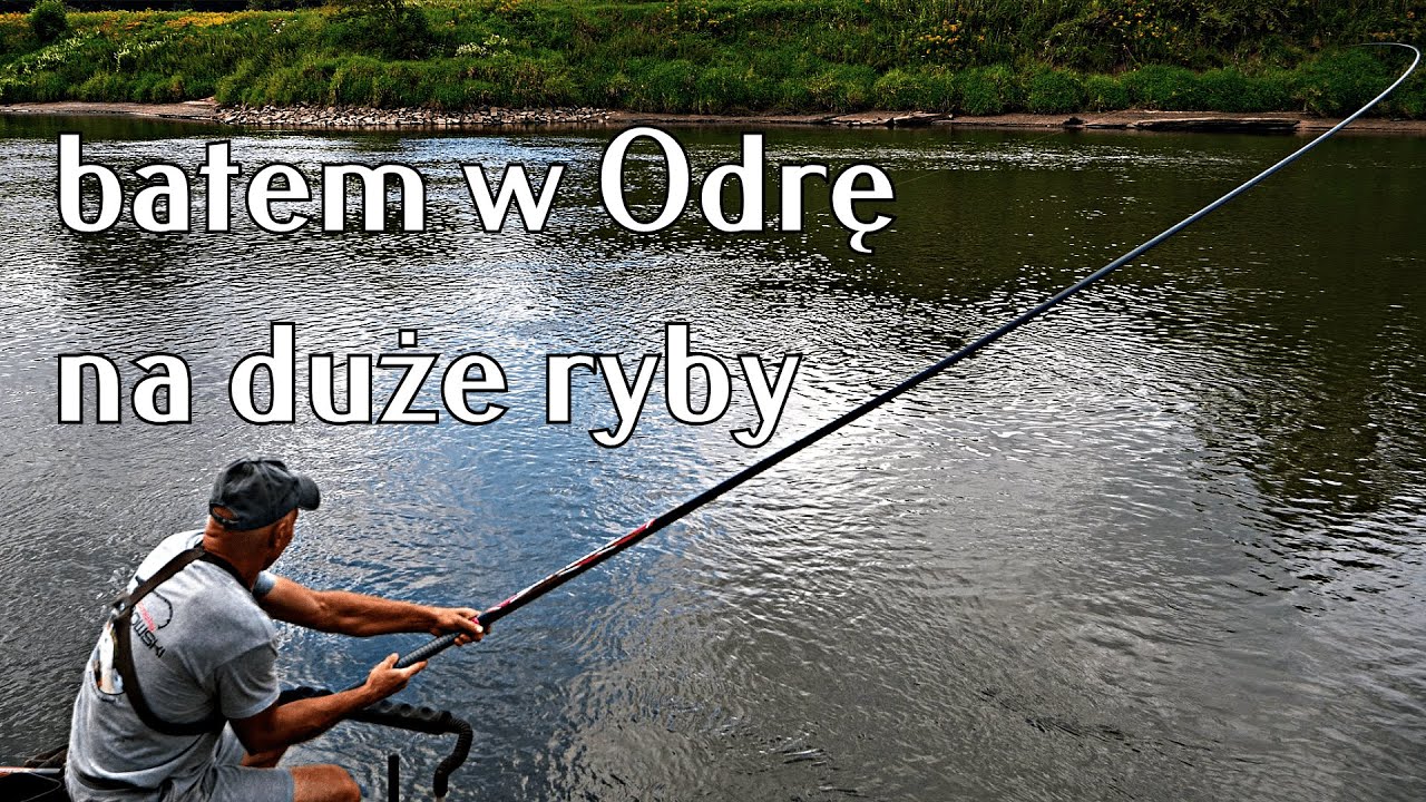 Walczył i wytrzymał. Bat na Odrze na duże ryby