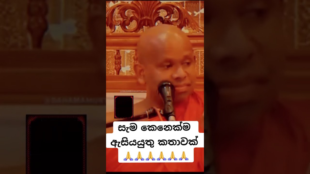සෑම කෙනෙක්ම ඇසිය යුතු කාතව👍🏿