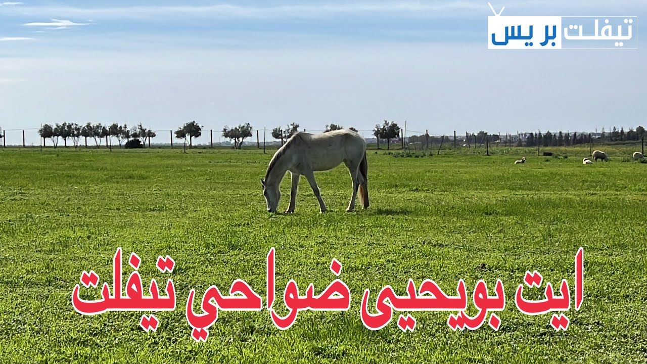 منطقة ايت بويحيى ضواحي تيفلت بعد التساقطات المطرية الاخيرة