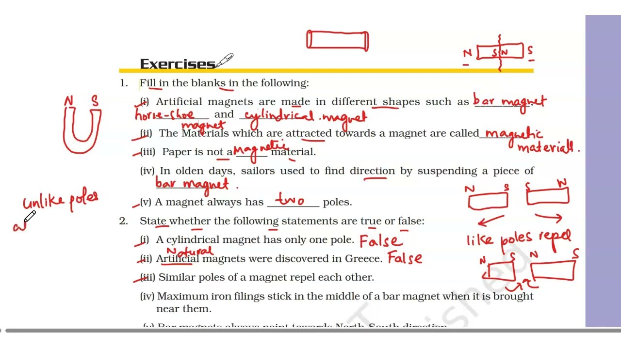 Fun With Magnets Q/A Solved  | NCERT Class 6 Science Chapter 13 Exercise Solutions With Explanation