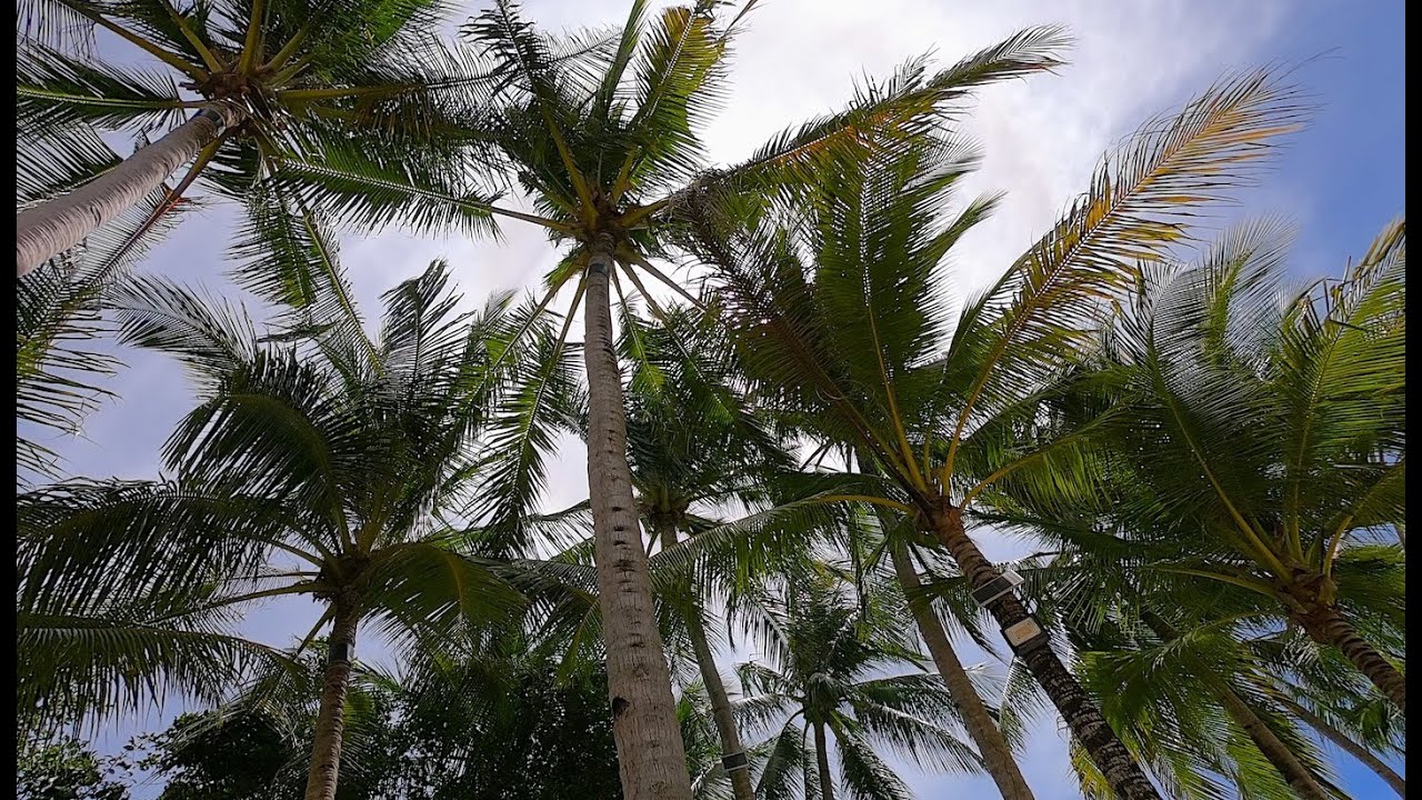 Guimaras Philippines, Island Hopping
