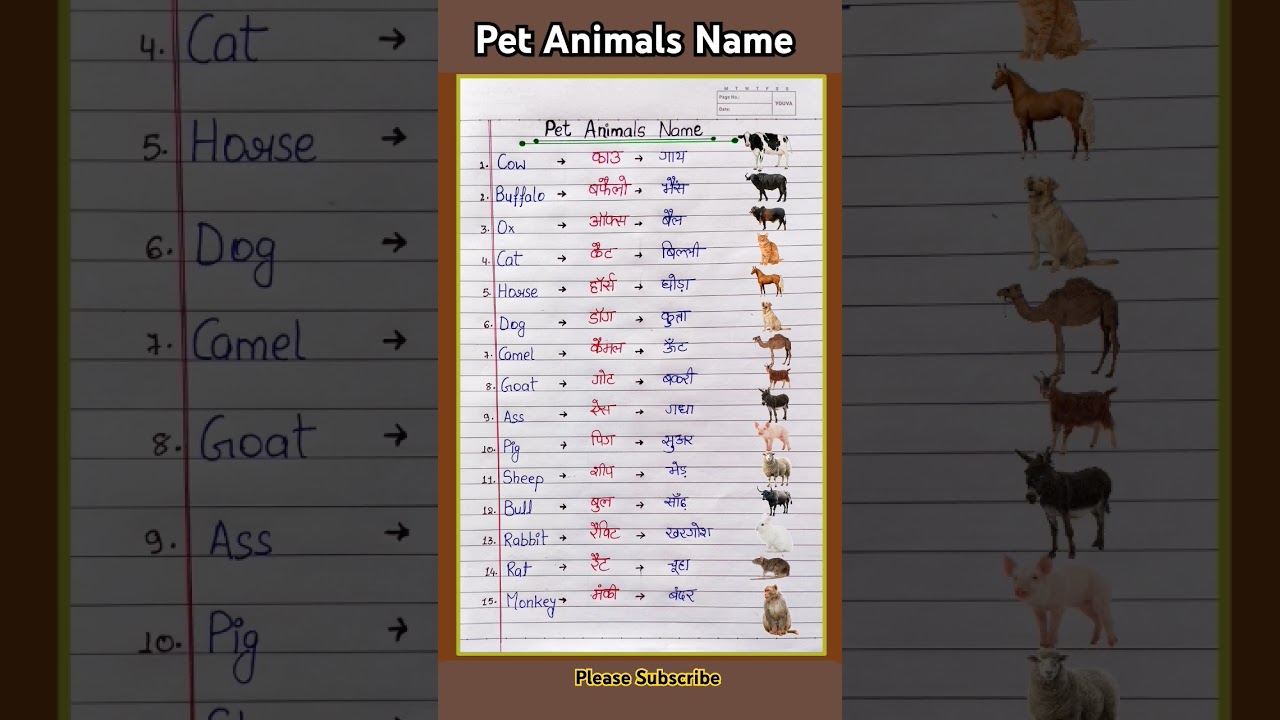15 Pet Animals Name in English and Hindi | Pet Animals Name #petanimals #shorts #trending #cow #dog