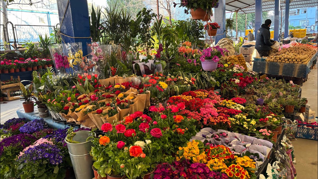 7 Mart 2026 Aydın Nazilli Cumartesi yeni mahalle kapalı pazar yeri için deyiz 05061114721#keşfet #