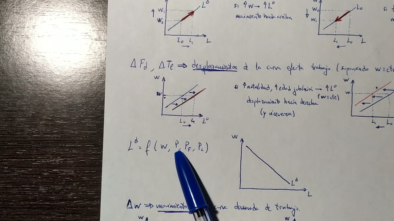 Movimientos y desplazamientos de la oferta y la demanda de trabajo