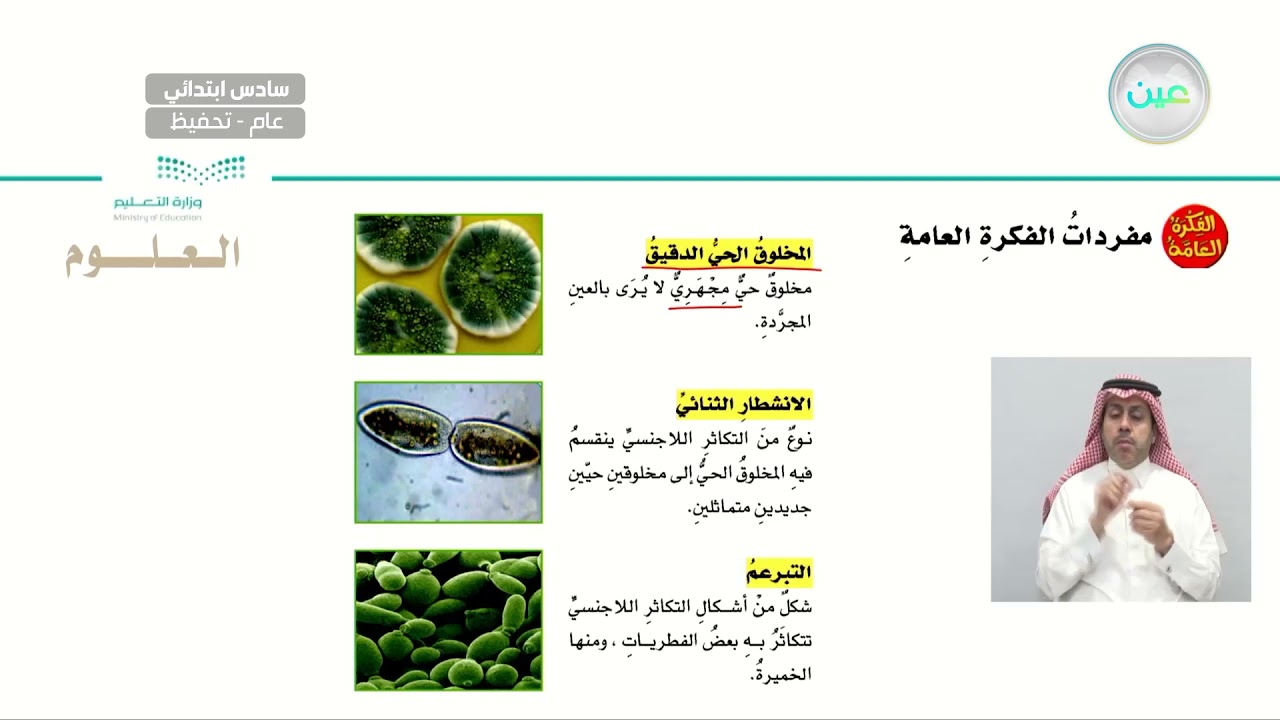 ما المخلوقات الحية الدقيقة - العلوم - سادس ابتدائي