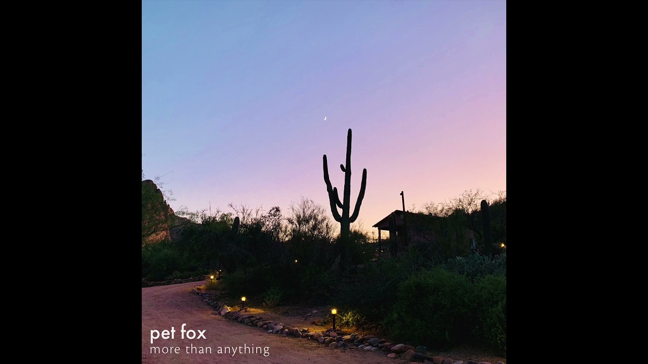 Pet Fox - 